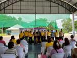 โครงการคุมกำเนิดสุนัขและแมวที่มีเจ้าของและไม่มีเจ้าของโดยการ