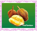 ผลิตภัณฑ์	ทุเรียน